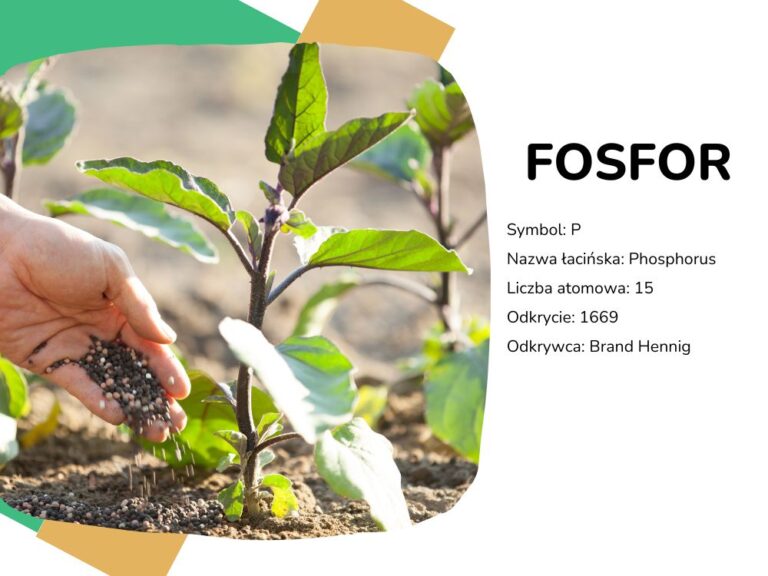 Układ Okresowy Pierwiastków