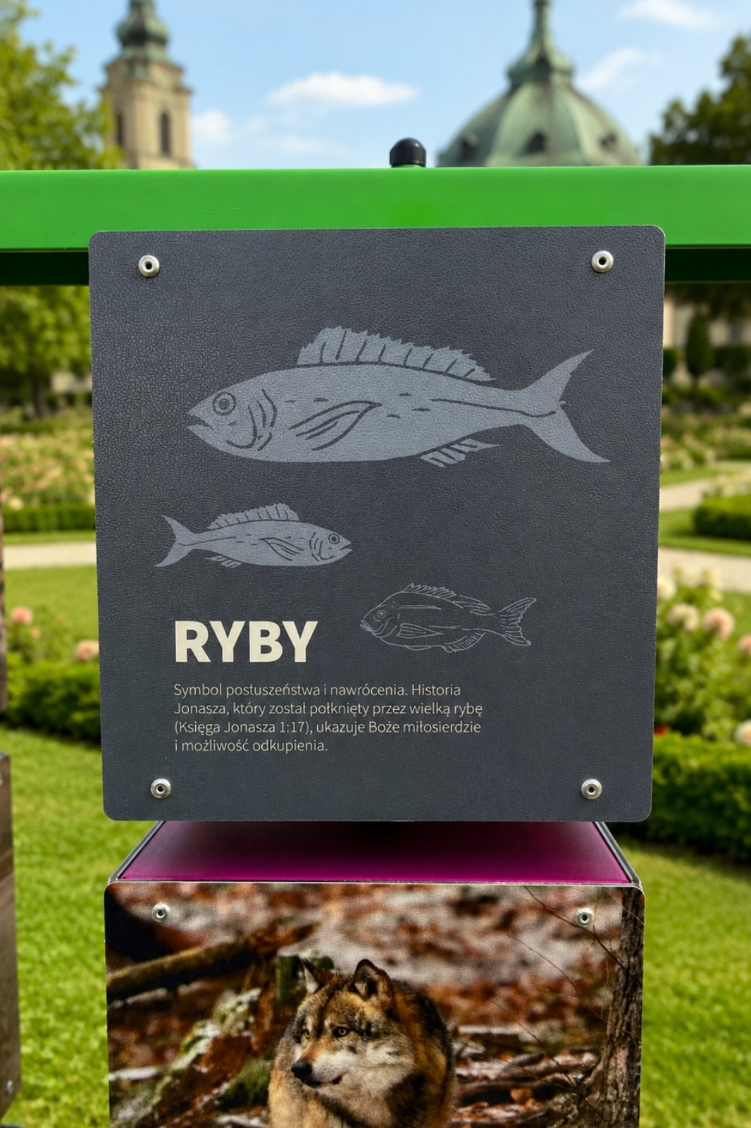 Biblijne Memory - pojedyncza ścianka RYBY z symbolem ryb i krótkim opisem
