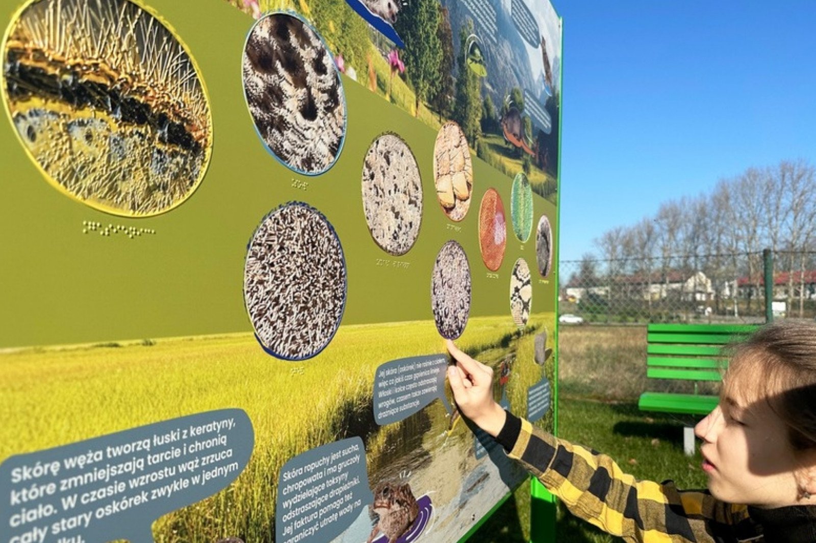 Hapti - Natura pod palcami - zbliżenie z boku: palec na chropowatym kółku, obok kółka włochate i kolczaste, pod nimi kropki brajla