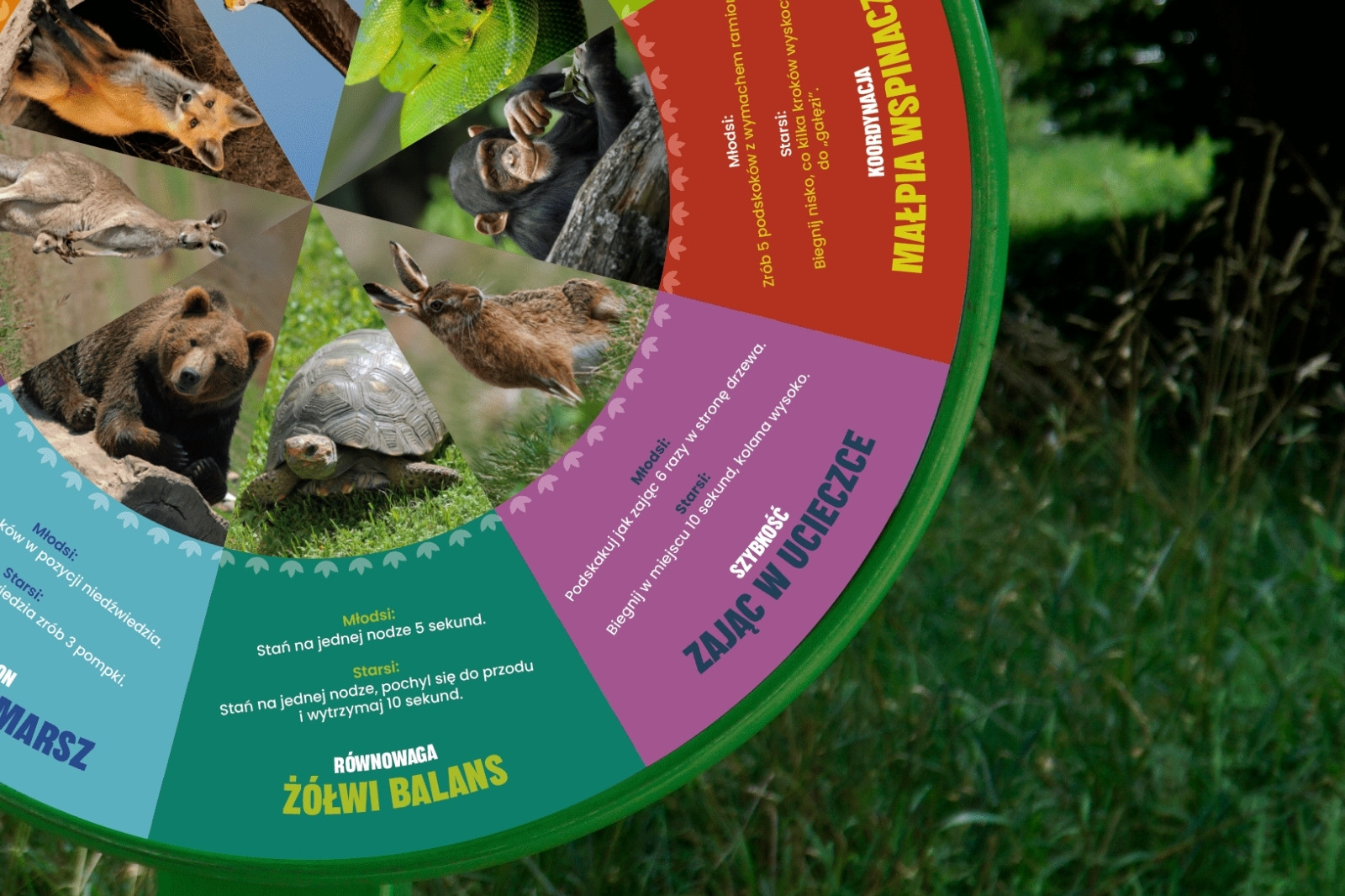 Koło edukacyjne Ruch i sport - zdjęcie 2