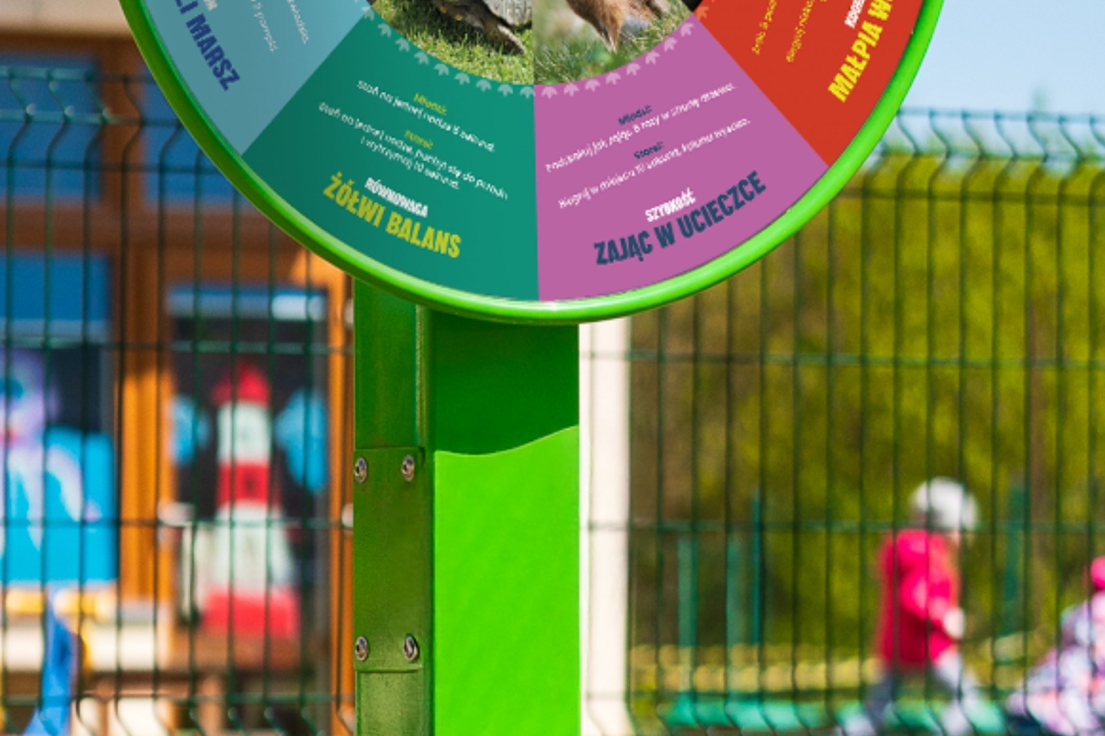 Koło edukacyjne Ruch i sport - zdjęcie 3